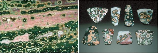 3Pcs GREE Mare Sedimenti Jasper Rame Oro Pendente Pietra Bornite oblunghi Perline JT04 