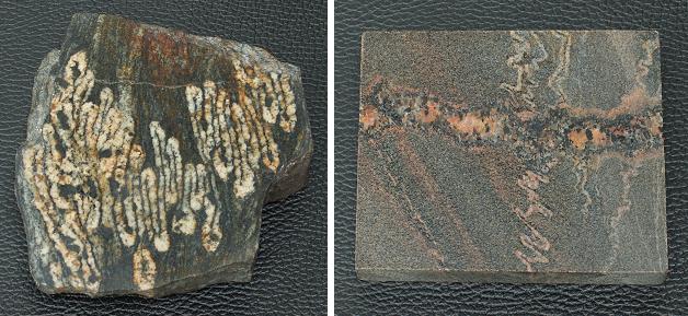 migmatite gneiss