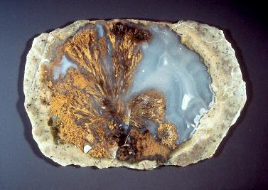 thunder egg saguache found colorado where rocks agate thunderegg cst cmich edu gem stoneplus plume mountain eggs rock raw county